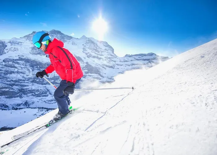 Allod Park Haus C 202 By Interhome Apartamento Davos